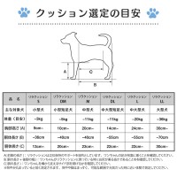 (󥨥)饯å DM(û­5kgܰ)١ Сå(BR)(ڥå Ϸ )1٤ޤ