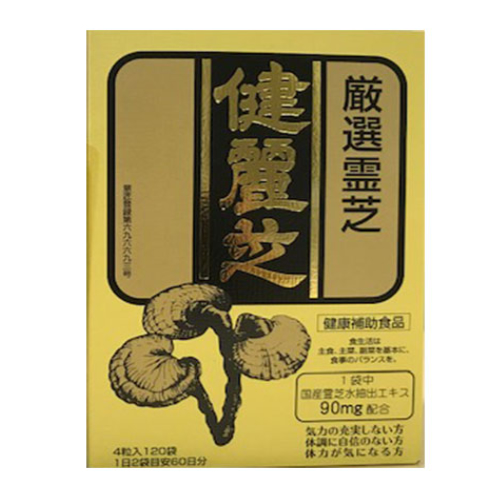 送料無料／代引き無料】健麗芝(ケンレイシ)お徳用タイプ 480粒（4粒