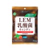 【ゆうパケット配送対象】[創健社]LEM乳酸菌キャンディ 63g(個包装込み)(飴 ハッカ味 喉の乾燥が気になる時 外出時)(ポスト投函 追跡ありメール便)