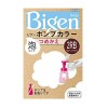 [ホーユー]ビゲン ポンプカラー つめかえ 2RB 明るいリッチブラウン