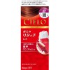 [ホーユー]シエロ CIELO ヘアカラーEX クリーム 白髪用 全体染め 6P 深いダークピュアブラウン[医薬部外品](毛染め 白髪染め 自宅 ヘアケア)