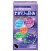 プレビジョン ビルベリー＆DHA 120粒[健康補助食品][湧永製薬][サプリメント]