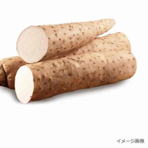 [アスザックフーズ] 国産長芋とろろ 個食 10個（インスタント食品)(即席 フリーズドライ)