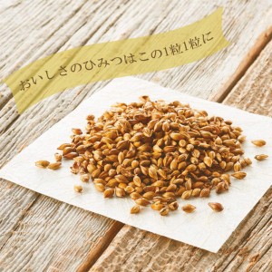 [はくばく]水出しでおいしい麦茶 500mlマイボトル用 30袋入りx1個