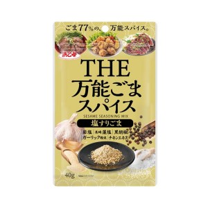 【ゆうパケット配送対象】[浜乙女]万能ごまスパイス 塩すりごま 40gx1個(シーズニング 調味 アウトドア)(ポスト投函 追跡ありメール便)