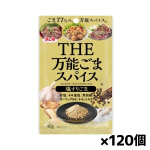 [浜乙女]万能ごまスパイス 塩すりごま 40gx120個(シーズニング 調味 アウトドア)