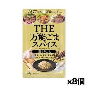 【ゆうパケット配送対象】[浜乙女]万能ごまスパイス 塩すりごま 40gx8個(シーズニング 調味 アウトドア)(ポスト投函 追跡ありメール便)