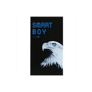 【ゆうパケット配送対象】オカモトスマートボーイ(SMART BOY)スーパーフィット12個入り(ポスト投函 追跡ありメール便)