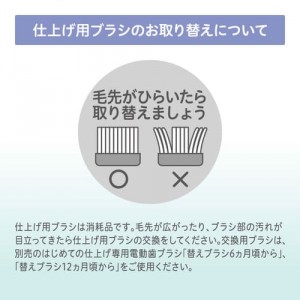 ピジョン はじめての仕上げ専用電動歯ブラシ 替えブラシ（12ヵ月頃～）