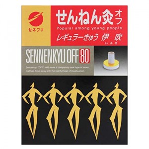 せんねん灸オフ レギュラーきゅう 伊吹 80点入