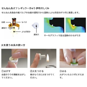 せんねん灸 オフ レギュラーきゅう 伊吹 260点入