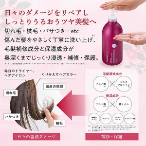 [熊野油脂]サロンリンク アミノ ダメージリペア 椿 シャンプー 1000ml (SALON LINK)