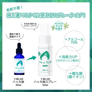 [ツーウェイワールド]十美LAB ハッカ油スプレー 50ml