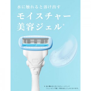 Schick シック ハイドロシルク サロンプラス 替刃(3個入)(女性用 顔そり 剃刀 かみそり 髭剃り ひげそり)