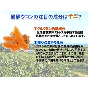 【ゆうパケット配送対象】熱帯資源植物研究所 琉球王朝秘伝！醗酵ウコン粒 25粒 携帯ケース入り x1個(サプリ 沖縄産ウコン)