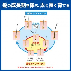 [花王]サクセス 薬用育毛トニック ハーバルシトラス 微香性 180g[医薬部外品](頭皮ケア 育毛ケア スプレータイプ)