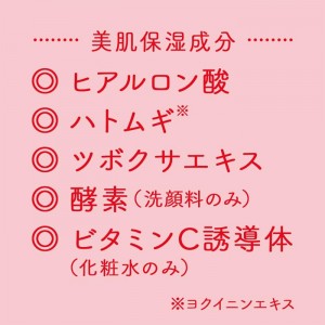 [牛乳石鹸]スキンライフ 薬用 泡のふんわり洗顔 ポンプ付 160ml [医薬部外品] (シトラスブーケの香り スキンケア 美肌ケア)