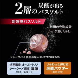 [白元アース]汗だし JUWA スパイシーウッドの香り 500g (バスソルト 炭酸パウダー配合 )