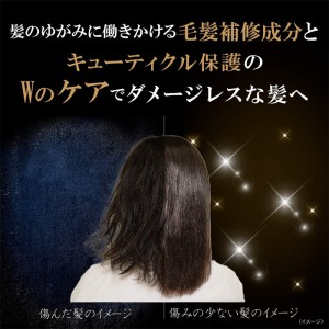 ユニリーバ LUX ラックス バイオフュージョン ダメージディフェンス シャンプー ポンプ 250g(ヘアケア)