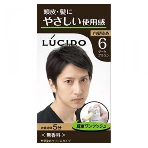 ルシード ワンプッシュケアカラー ダークブラウン (LUCIDO) (医薬部外品)