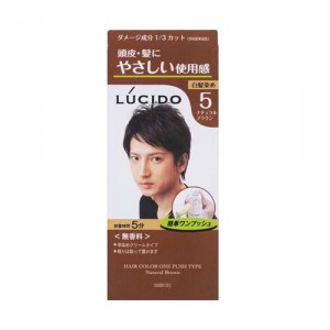 ルシード ワンプッシュケアカラー ナチュラルブラウン (LUCIDO) (医薬部外品)