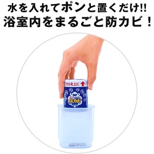 [ライオン]ルックプラス おふろの防カビくん煙剤 消臭ミントの香り 4g(除菌 消臭 塩素不使用 防カビ)