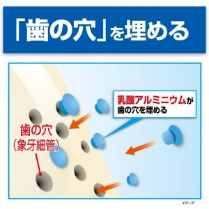 [小林製薬]ハウメル 薬用ハミガキ 100g 1個 [医薬部外品] (歯の穴を埋める 口臭予防 口内ケア 知覚過敏ケア )