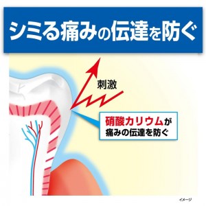 [小林製薬]ハウメル 薬用ハミガキ 100g 1個 [医薬部外品] (歯の穴を埋める 口臭予防 口内ケア 知覚過敏ケア )