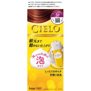 [ホーユー]シエロ CIELO シエロ ムースカラー 白髪用 全体染め 5P ダークピュアブラウン[医薬部外品](泡タイプ 毛染め 白髪染め 自宅 ヘアケア)