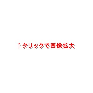 ＊在庫限り・大特価！＊【ゆうパケット配送対象】抗菌・防臭コットンカノコソックス メンズ チャコールグレー  25～28cm 【激安！】(ポスト投函 追跡ありメール便)