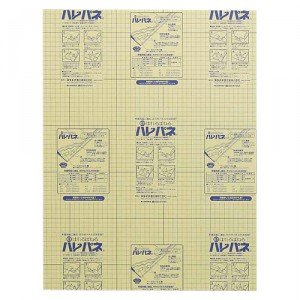 [プラチナ萬年筆] ハレパネ A2判 7mm AA2-850