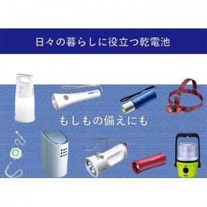 [東芝]アルカリ電池 単4形 10本パック[LR03L 10MP]