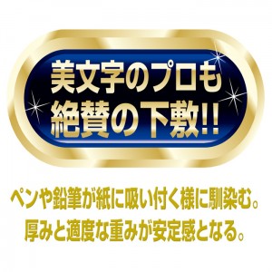 【ゆうパケット配送対象】[共栄プラスチック]硬筆用ソフト下敷 B5[NO.602](ポスト投函 追跡ありメール便)