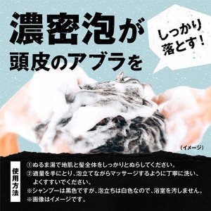 ＊在庫限り！大特価＊【大正製薬】 [ブラックウルフ] ボリュームアップ スカルプ シャンプー ポンプタイプ (380mL)[男性向け][返品・交換不可]