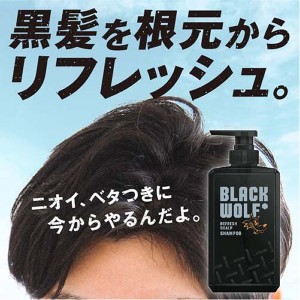 ＊在庫限り！大特価＊【大正製薬】 [ブラックウルフ] リフレッシュ スカルプ シャンプー ポンプタイプ (380mL)[男性向け][返品・交換不可]