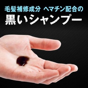 ＊在庫限り！大特価＊【大正製薬】 [ブラックウルフ] リフレッシュ スカルプ シャンプー ポンプタイプ (380mL)[男性向け][返品・交換不可]