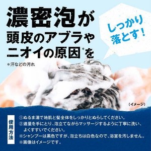 ＊在庫限り！大特価＊【大正製薬】 [ブラックウルフ] リフレッシュ スカルプ シャンプー ポンプタイプ (380mL)[男性向け][返品・交換不可]