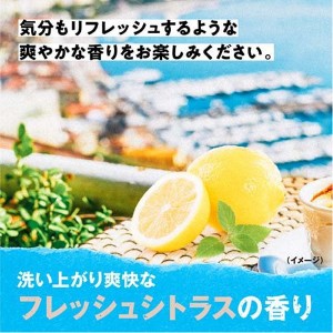 ＊在庫限り！大特価＊【大正製薬】 [ブラックウルフ] リフレッシュ スカルプ シャンプー ポンプタイプ (380mL)[男性向け][返品・交換不可]