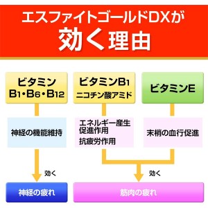 【第3類医薬品】エスエス製薬 エスファイトゴールドＤＸ 180錠(眼精疲労 肩こり 腰痛 ビタミン)