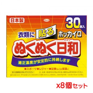 興和 ホッカイロ ぬくぬく日和 貼るレギュラー 30個入り x 8個セット