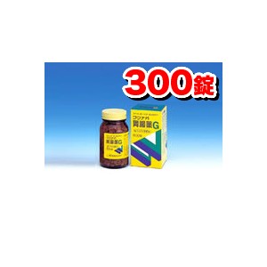 【第2類医薬品】ワクナガ胃腸薬G 300錠[湧永製薬]