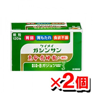 【第2類医薬品】【送料無料／代引き無料】恵命我神散s 細粒分包(3gx120包入)【2個セット】[恵命堂][漢方薬][胃腸薬]