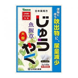 【第3類医薬品】山本漢方製薬 大型じゅうやく どくだみ「分包」 5g×48包