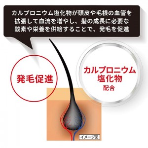 【第3類医薬品】NFカロヤン ガッシュ 無香料 240ml