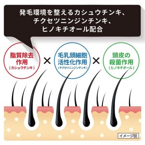 【第3類医薬品】NFカロヤン ガッシュ 無香料 240ml