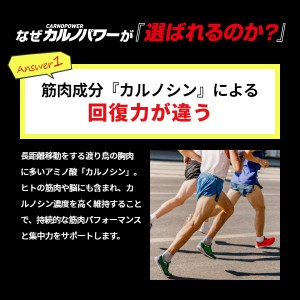 ハマリの健康食品 カルノパワー 120粒 x1個(カルノシン ロイシン アルギニン クエン酸 疲労回復)