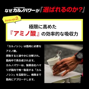 ハマリの健康食品 カルノパワー 120粒 x1個(カルノシン ロイシン アルギニン クエン酸 疲労回復)