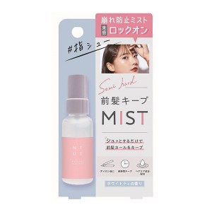 ST ニュート 前髪キープミスト 45ml(ヘアスプレー ヘアケア ヘアミスト)