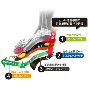 SOFSOLE(ソフソール) オーソテック アーチサポート L～XLサイズ サポート メンテナンス スポーツケア インソール 18751