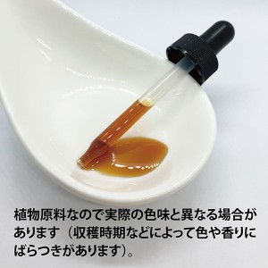 ECLECTIC イチョウ(ギンコ)1オンス 29.5ml(いちょう葉)E029(健康食品 ハーブエキス サプリメント)※お取り寄せ1週間程度かかります